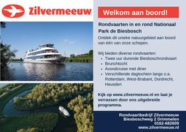 Zilvermeeuw'24