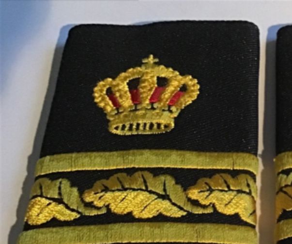 Biträdande länspolismästare utom i Stockholms län, västra Götaland och Skåne. Polismästare, polisöverindendent,rektor på Polishögskolan  och annan enhetschef vid rikspolisstyrelsen.