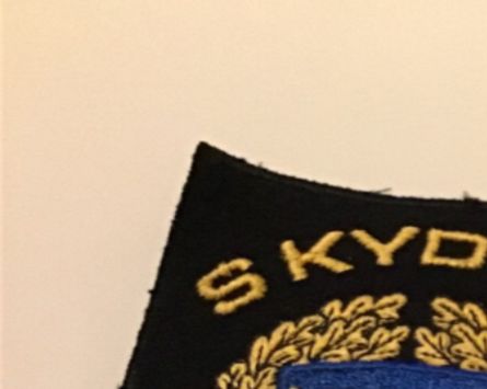 Skyddsvakt
