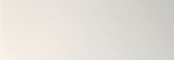 Hundförare 22 cm