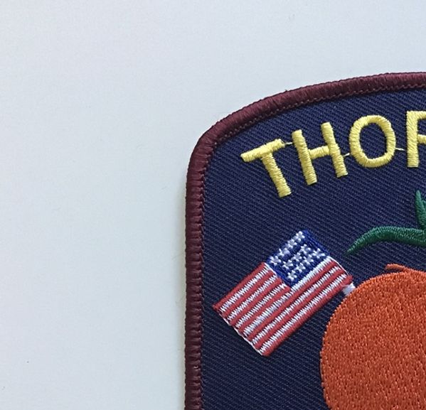 Thorsby började bebyggas av 1865 av tre svenskar, och etablerades 1901 av nordiska invandrare som ursprungligen bosatt sig i New England, men som sökte ett milt klimat och bördig jord för odling av livsmedel. En av de första bosättarna var värmlandsbördige Theodore T. Thorson, som sedermera gav staden dess namn.