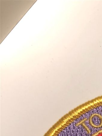 Narkotikahundförare Tullen Danmark. Används vid Flygplatser och gränsövergångar.