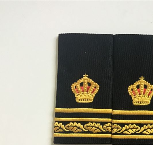 Inspektör med särskild tjänsteställning. Broderade