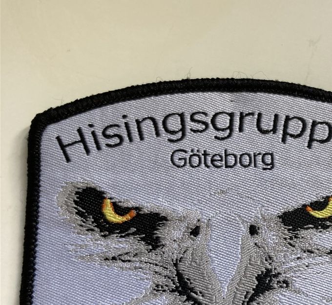 Securitas Hisingsgruppen