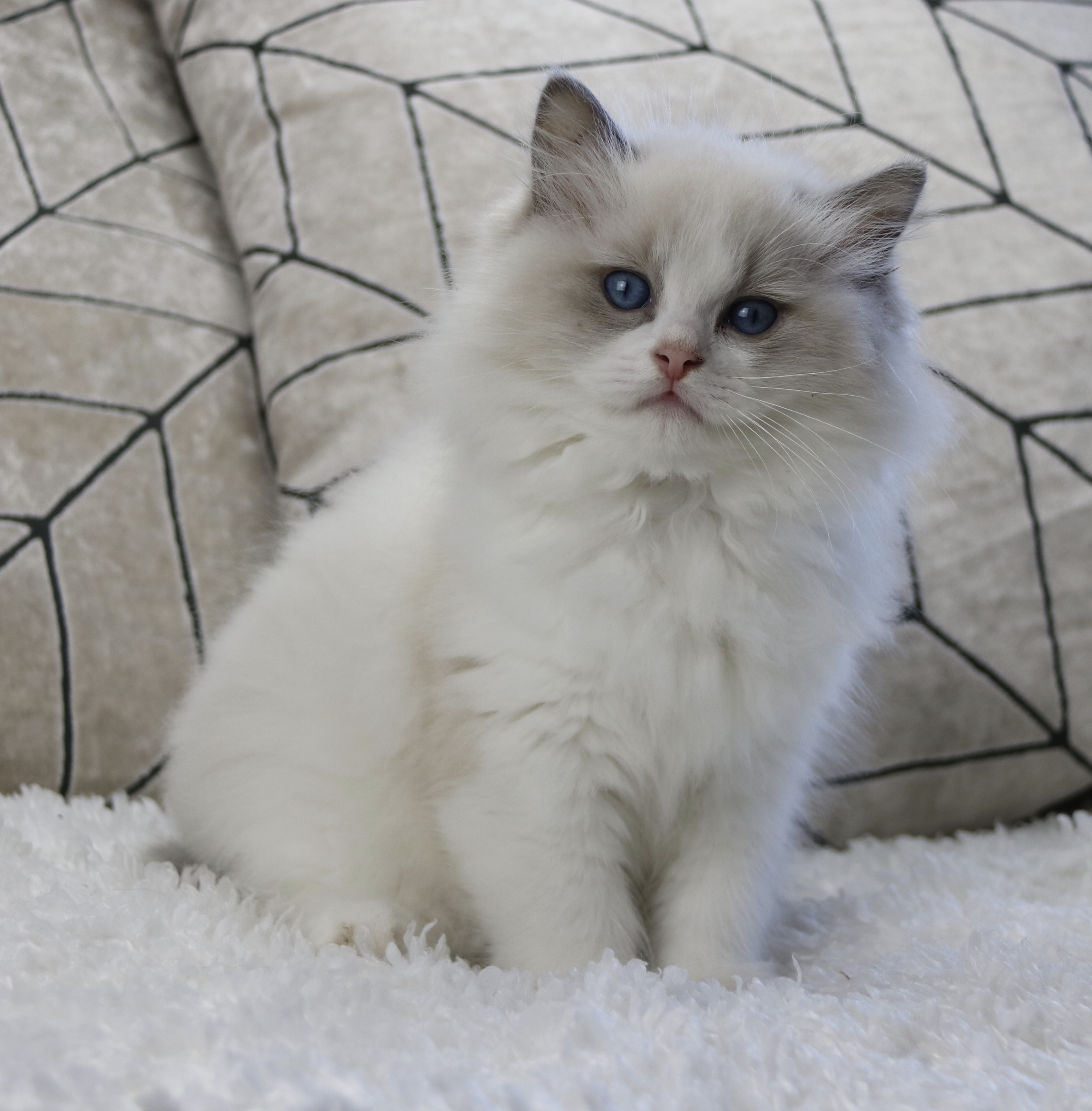 357F468A-9088-48A8-879F-1A76E7479316_1_201_a