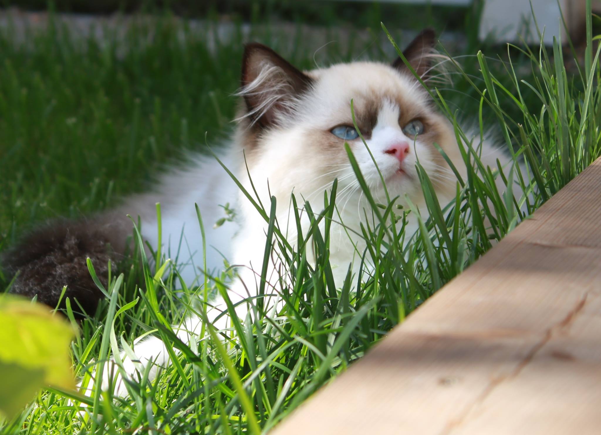 3BBA4793-762B-4BE8-A4F1-FE7968BAFDCD