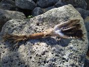 IMG_20200416_113235