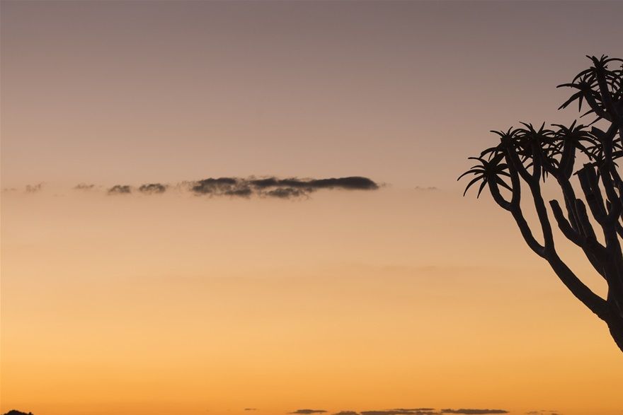 Keetmanshoop sunset (fever tree)