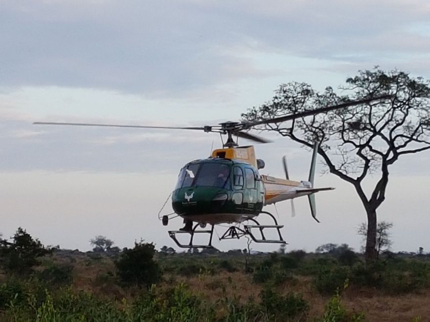KNP Airwing