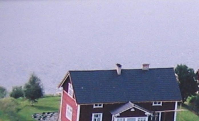Sodan jälkeen rakennettua Similän tilan uutta asuinkenttää. Navettarakennus purettu 1975, tilalla kasvaa etualan istutettu koivikko.
