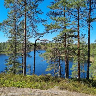 Utsikt fra Gapahuken