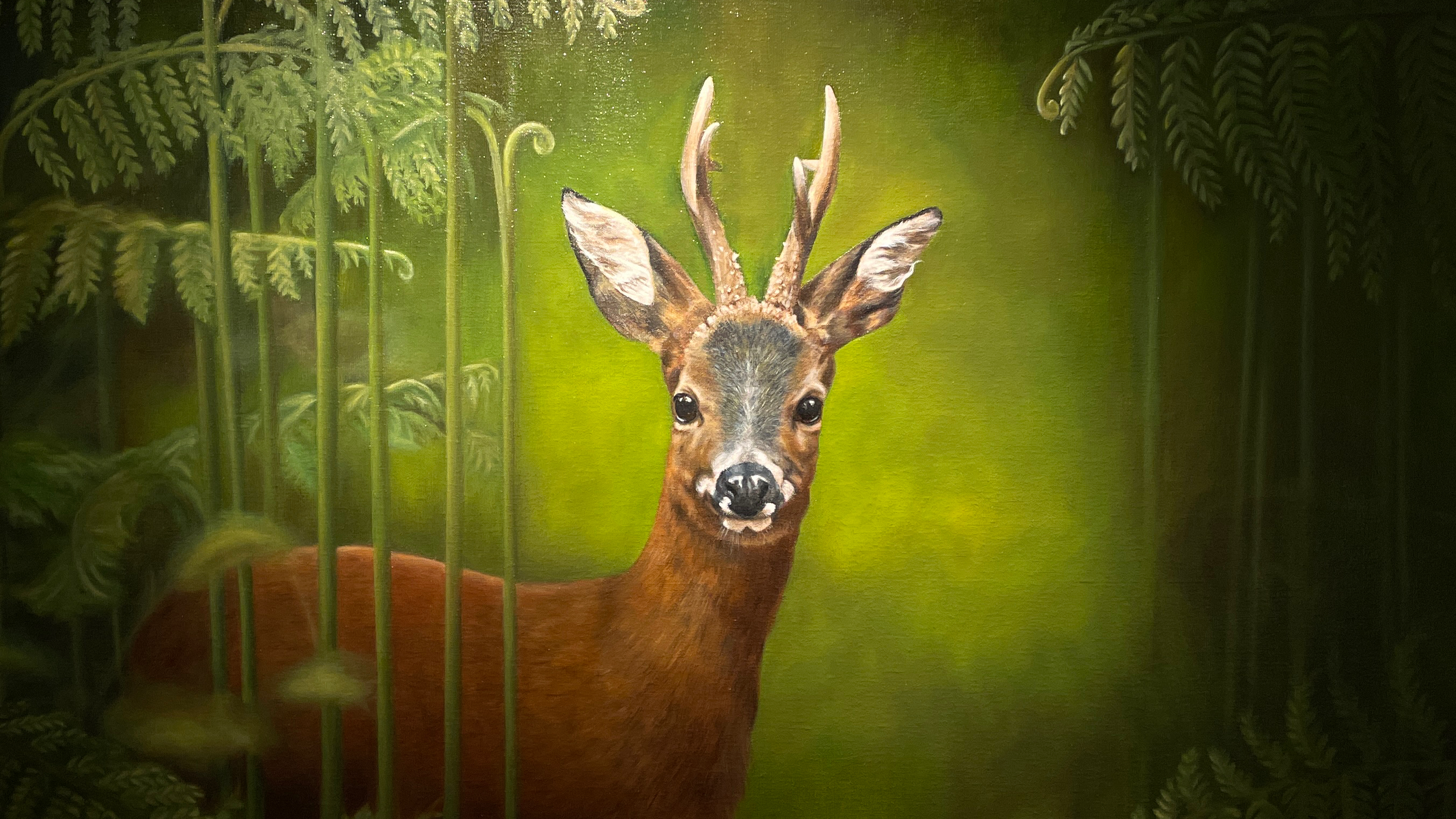 Robin Wood