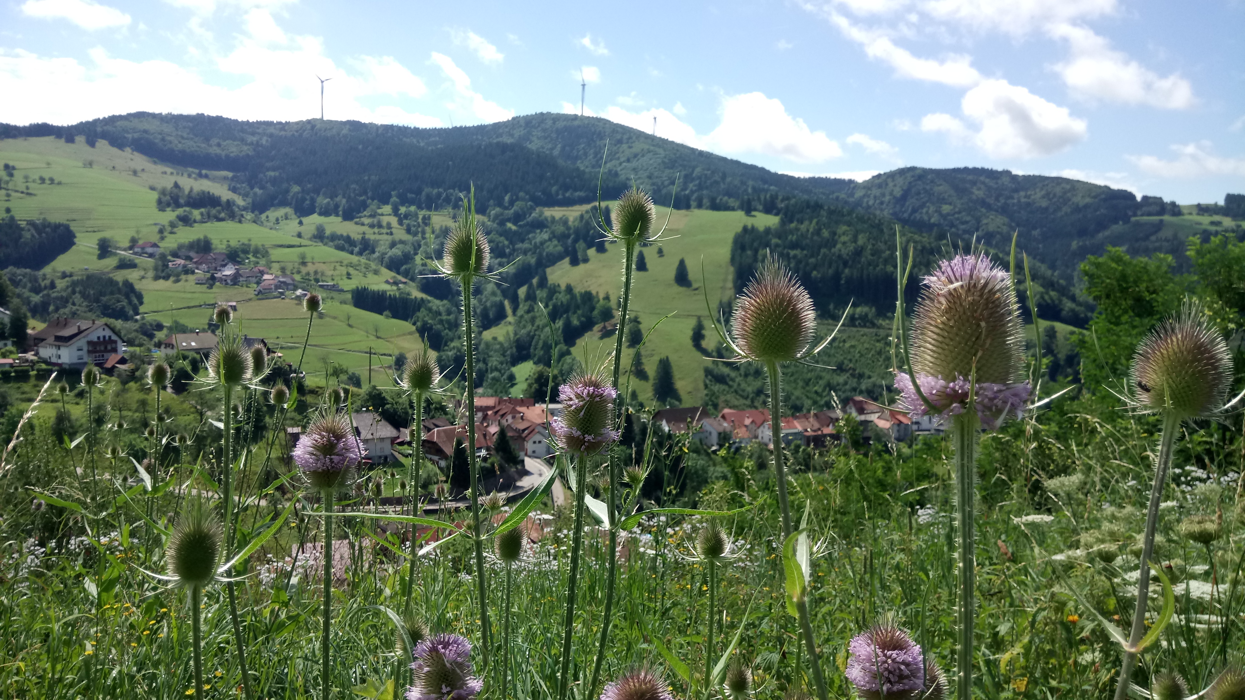Wiesental