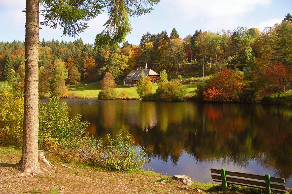 Dachsberg