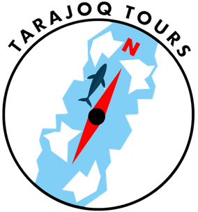 Ilulissat boat tours Greenland activities