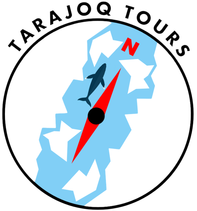 Ilulissat boat tours Greenland activities