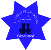 stjärna ursa minor
