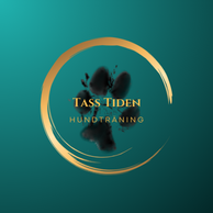 Tasstiden