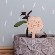 Plantensteker-Silke-naam-hout-tatidesign