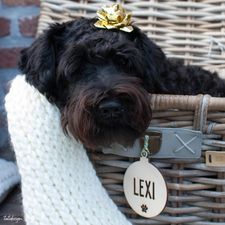 kerstbal-hond-naam-tatidesign