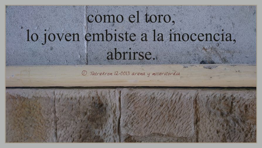 Tatrekron 12-0013. arena y misericordia. fhilos indudabbas