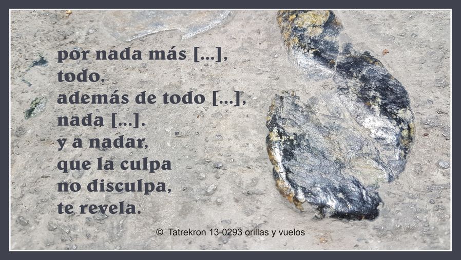 Tatrekron 13-0293. orillas y vuelos. fhilos indudabbas