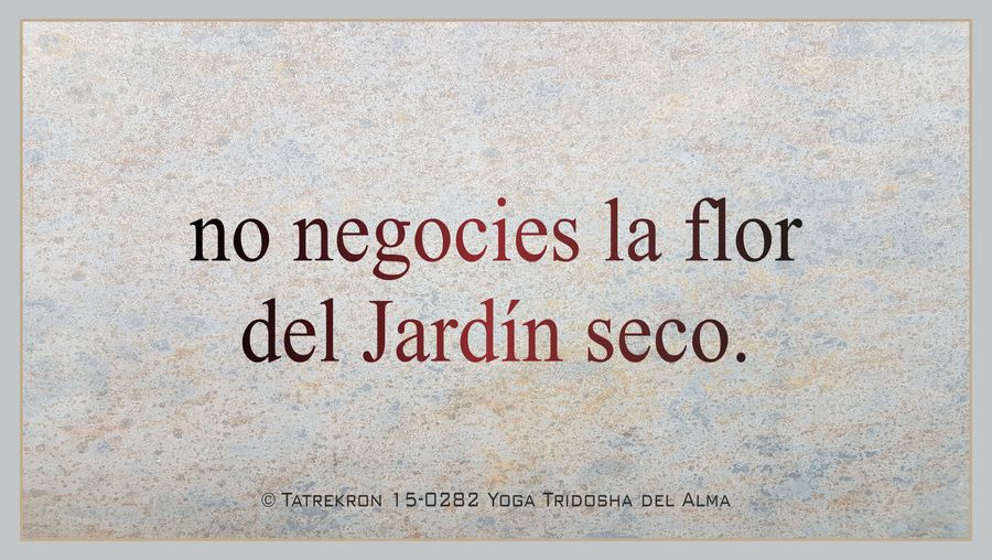 Tatrekron 15-0282. Yoga Tridosha del Alma. 