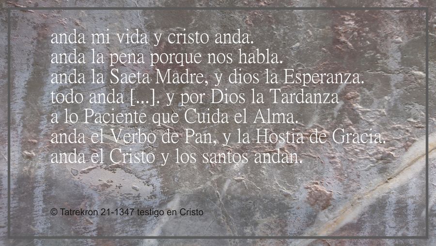 21-1347__tatrekron_testigo-en-cristo__h-w