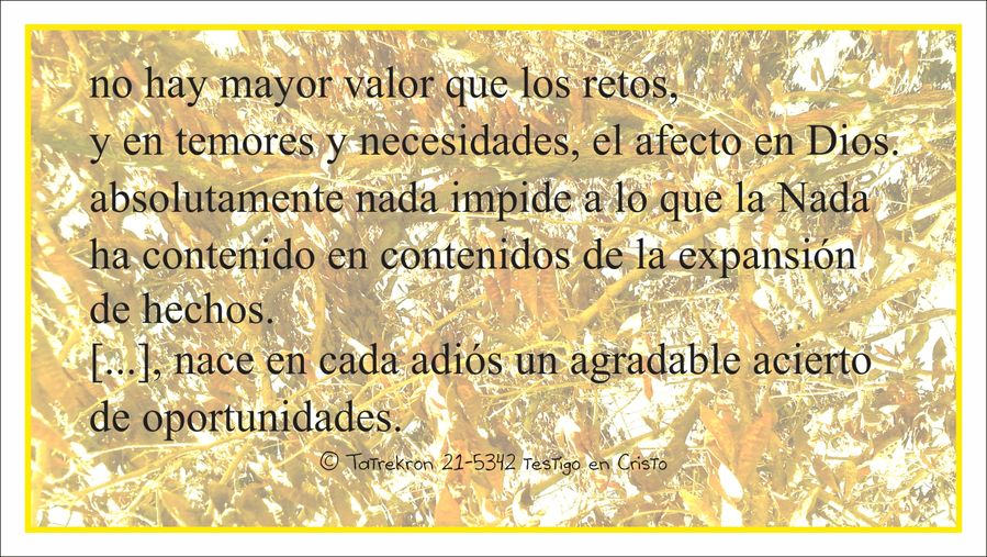 Tatrekron 21-5342. testigo en Cristo. fhilos indudabbas
