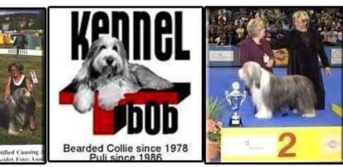 Billbo mostwinning progency clas through 5 years .Winning group 1 veteran  Best In Show nr 2  World Dog show Amsterdam 2001.Winning Brace group1 in world dogshow Helsinki