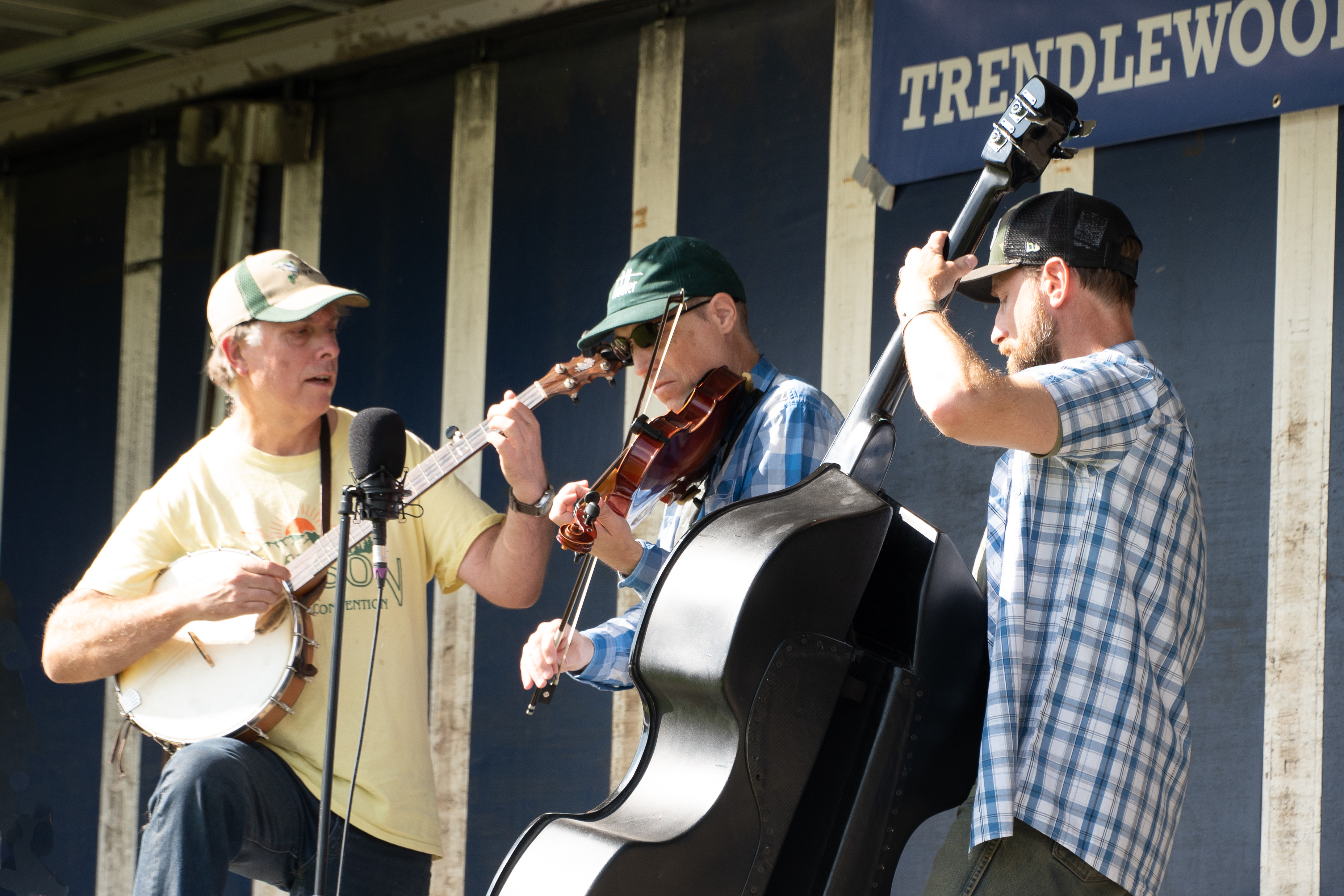 Local Live Music @ Trendlewood Community Festival