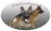 Schæferkennel Team Aixa