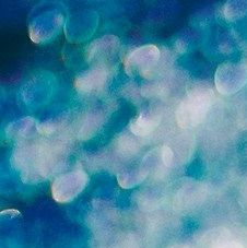 unsplash_Ejty92iSMXU(1)