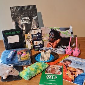 Puppy kit 2021