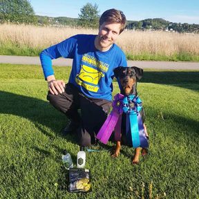 Dexter SM pinnar i agility