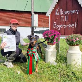Dexterity All Mighty Bombadill Svensk viltspårschampion