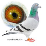 NL-14-1133093
