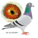 NL-14-1133109