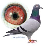 NL-20-2006923