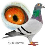 NL-20-2029711