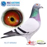 NL-17-1056061