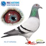 NL-17-1056026