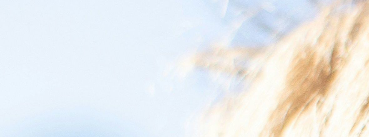 Fastelavn ansigtsudsmykning