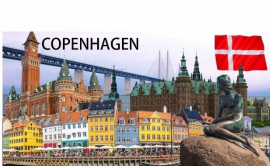 nyhavn Magnet