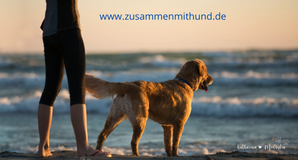 Zusammen mit Hund