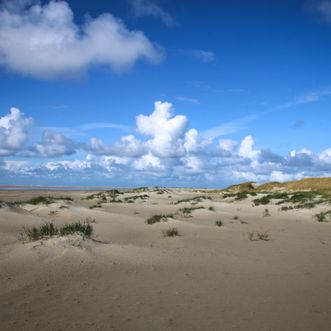 Duin bij Pad van Zes-3