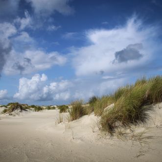 Duin bij het Pad van Zes