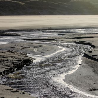 Meander