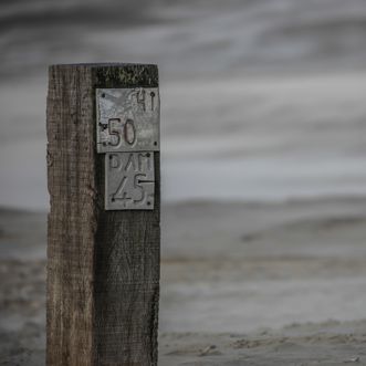 Paal 50