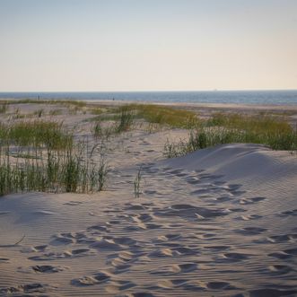 Zomerduin